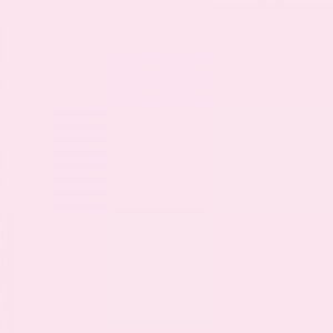 Meet your Posher, Shannell